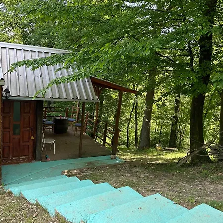 Nino Natural Wood House 1