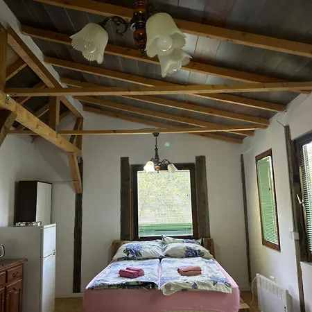 公寓 Nino Natural Wood House *