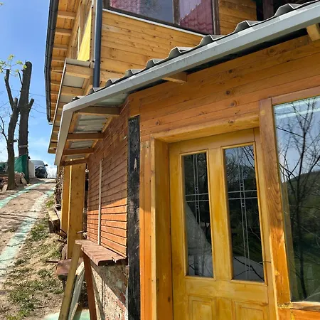 公寓 Nino Natural Wood House 维索科