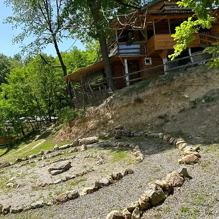 Nino Natural Wood House *