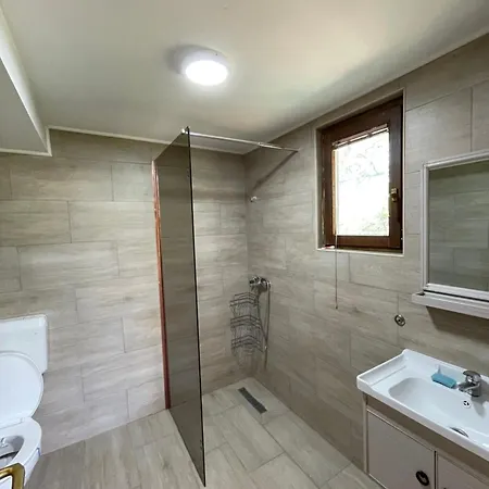 Nino Natural Wood House 1 Apartment
