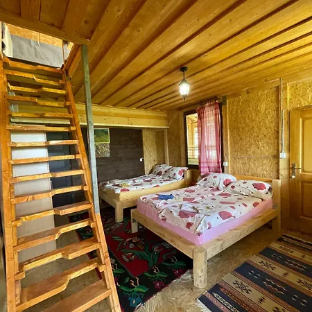 Apartment Nino Natural Wood House 1 Visoko