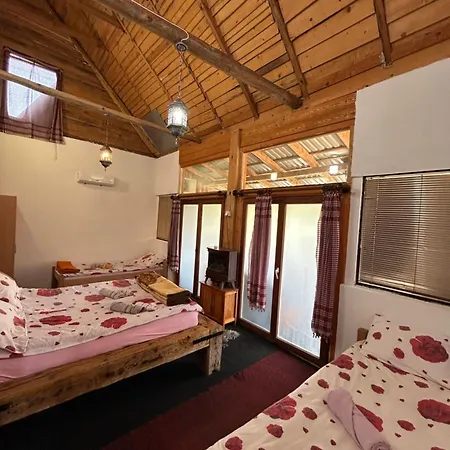 Nino Natural Wood House