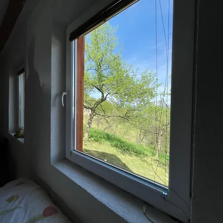 Nino Natural Wood House *