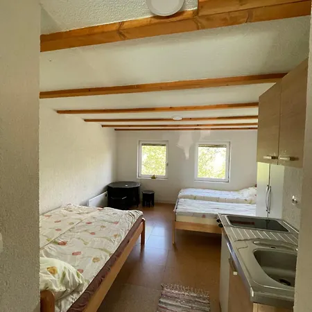 Nino Natural Wood House 1 Visoko