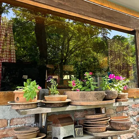 Nino Natural Wood House * 维索科